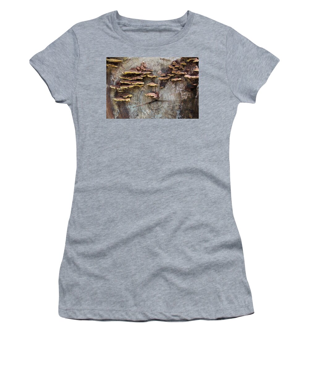 Ronnie Maum Women's T-Shirt featuring the photograph Flapjacks in a Log by Ronnie Maum