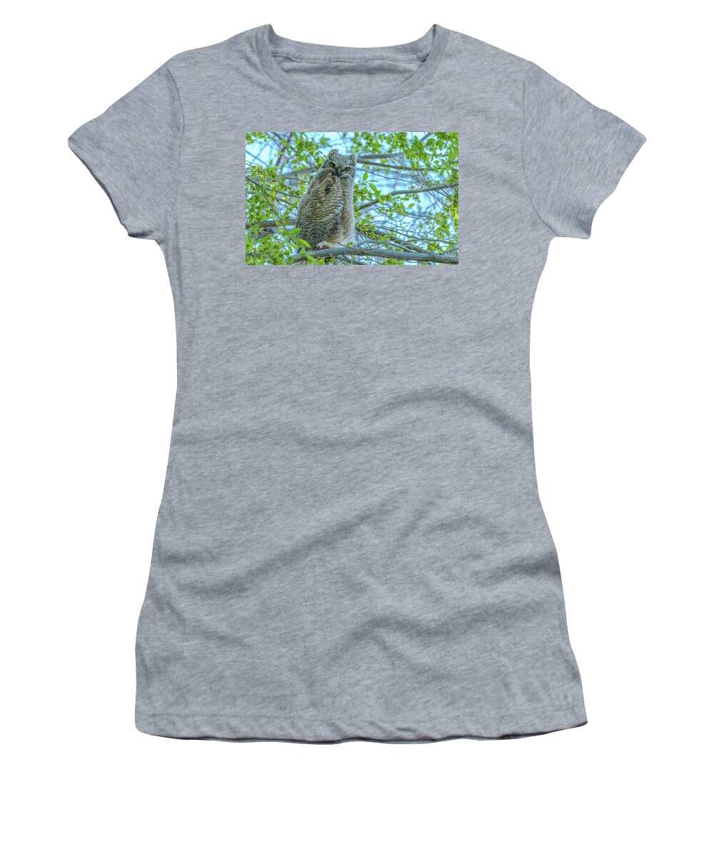 Owl Women's T-Shirt featuring the photograph Fledgling Moment At Sundown by Yeates Photography