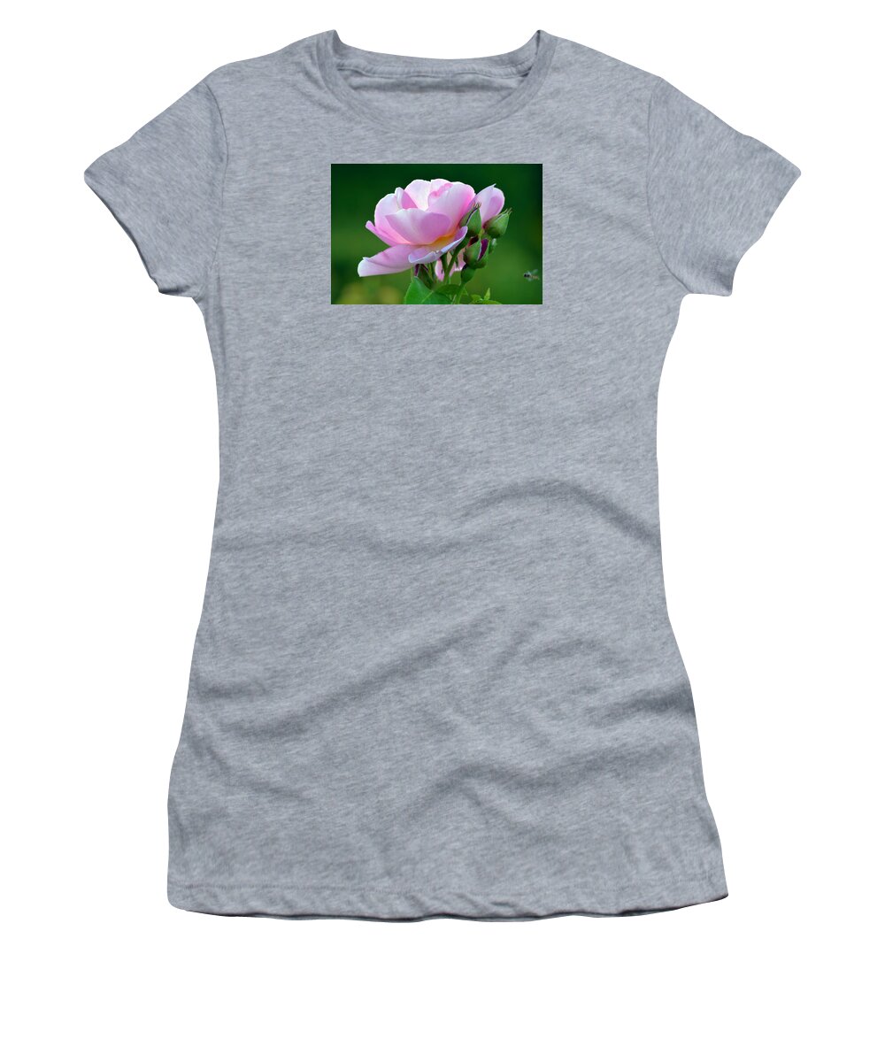 Nature Women's T-Shirt featuring the photograph Flight Of The Pollinator. by Terence Davis
