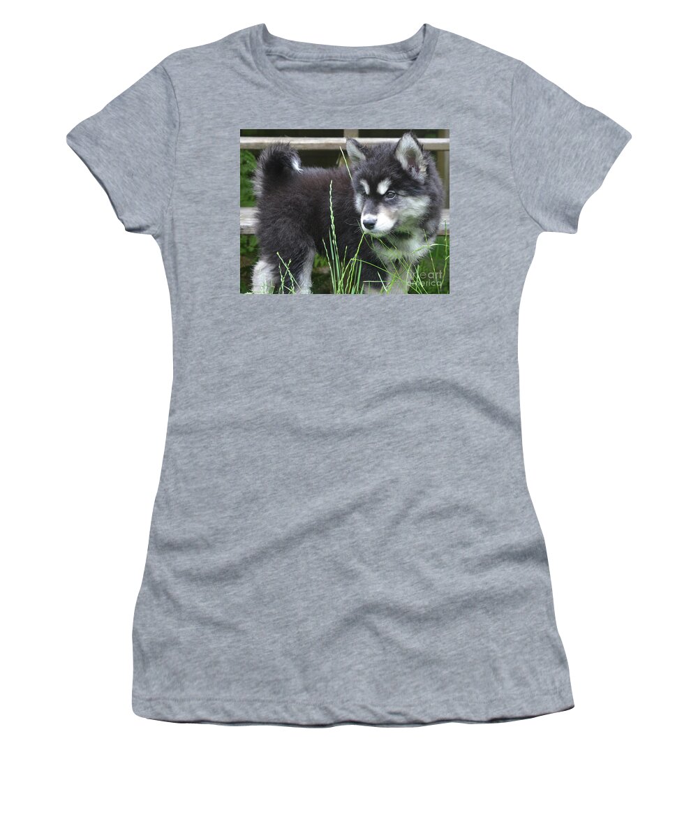 Alusky Women's T-Shirt featuring the photograph Fluffy and Furry Alusky Puppy Dog Looking through Tall Grass by DejaVu Designs