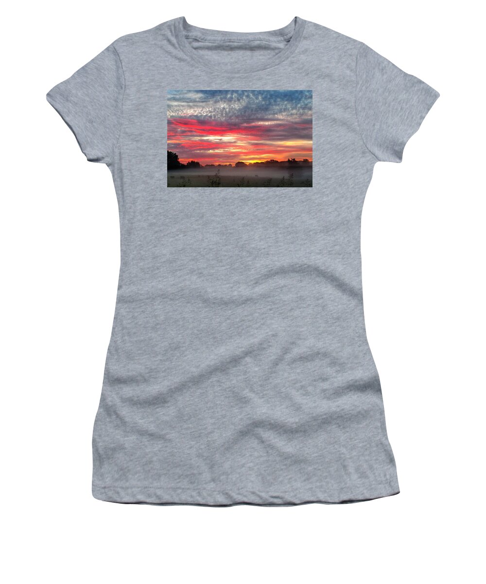 Gold Women's T-Shirt featuring the photograph Foggy Carpet Over South Carolina Cattle Farm by Alex Grichenko
