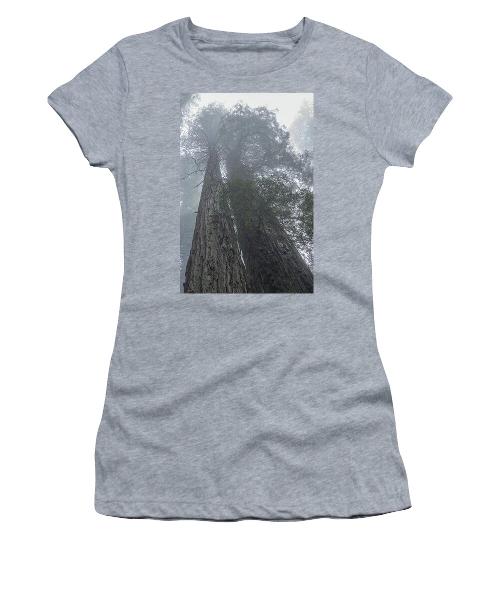 Redwood Women's T-Shirt featuring the photograph Foggy Redwoods CA by Steve Gadomski