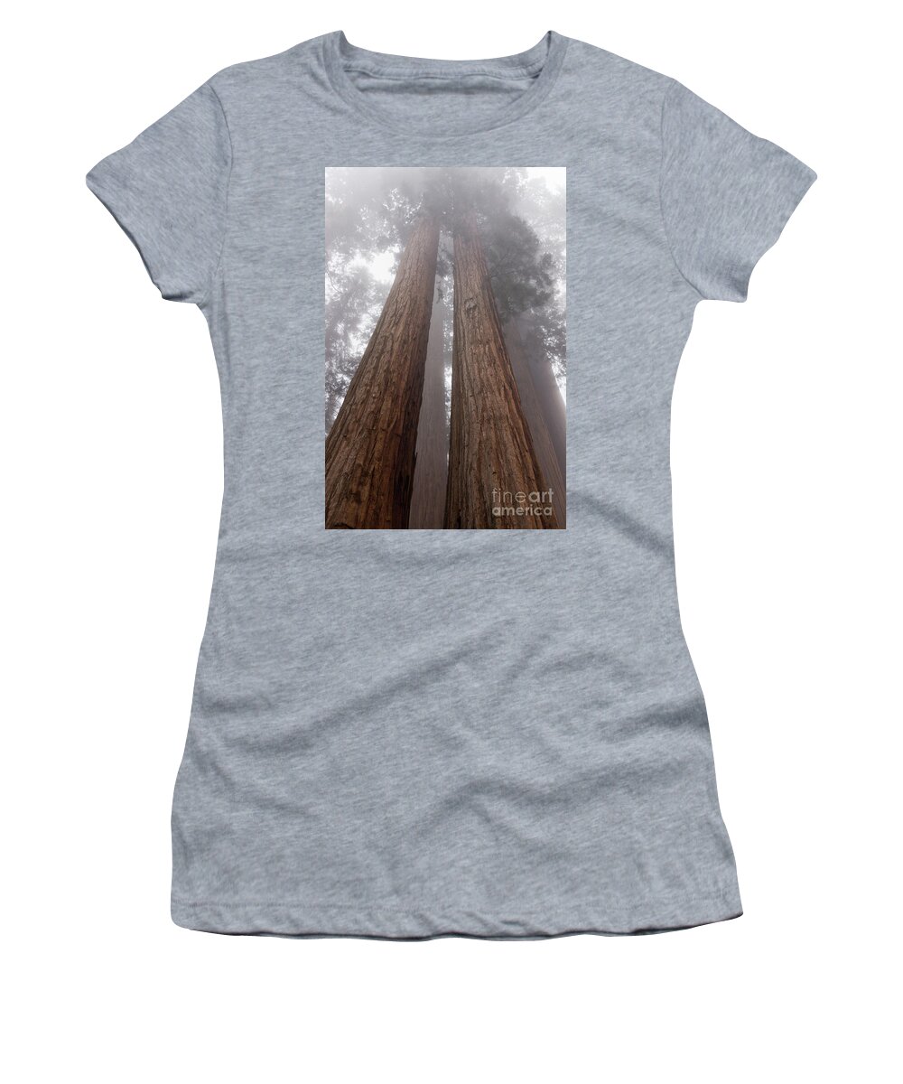 Sequoia National Park Women's T-Shirt featuring the photograph Forest Dream by Peggy Hughes