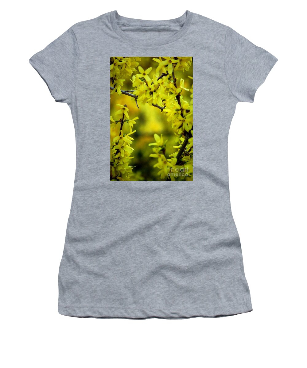 Spring Women's T-Shirt featuring the photograph Forsythia at the Hacienda by David Lane