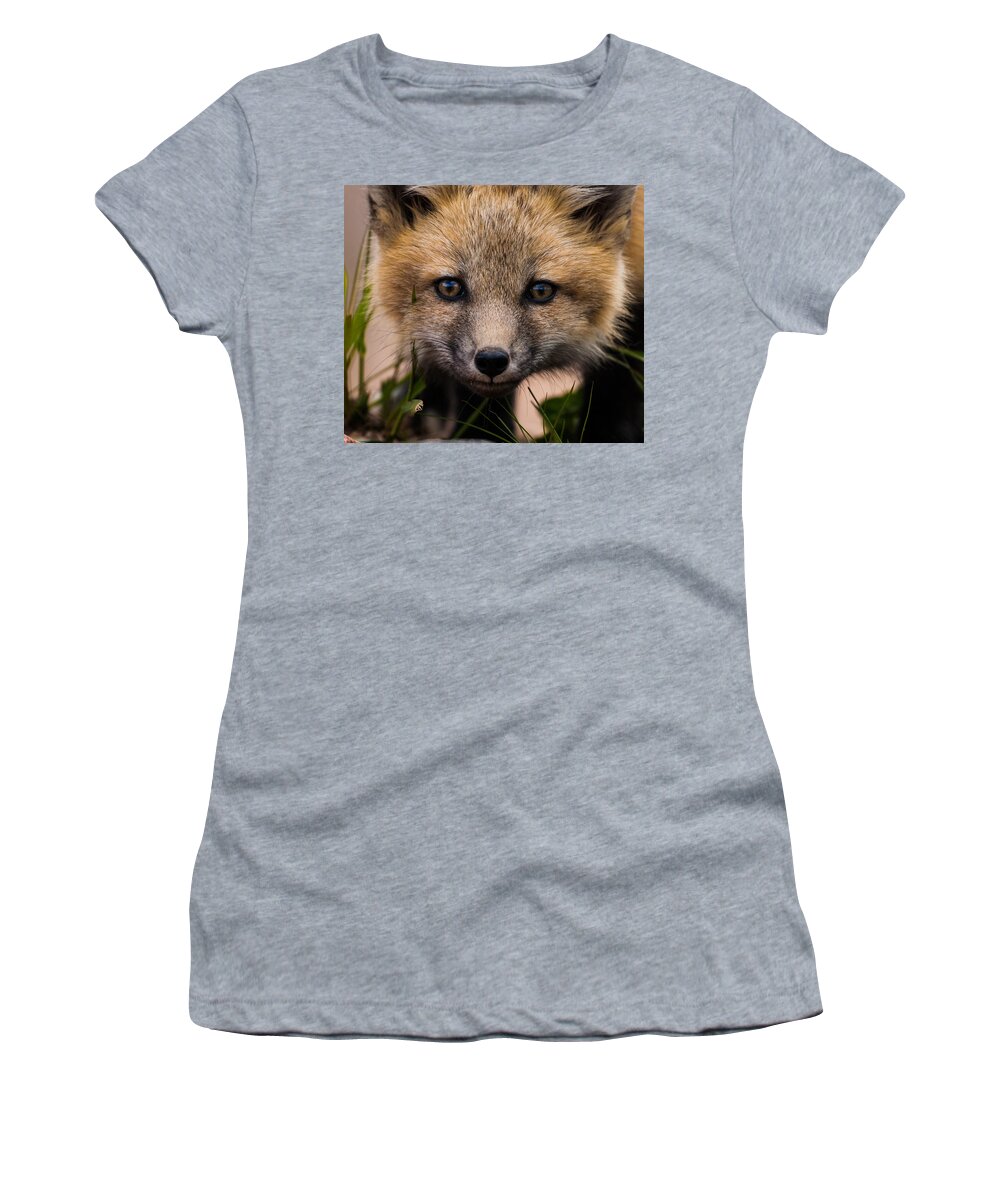 Fox Kit Women's T-Shirt featuring the photograph Fox Kit #5 Up Close and Curious by Mindy Musick King