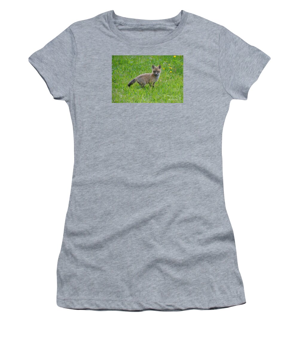  Baby Fox Women's T-Shirt featuring the photograph Fox Kit by Sandra Updyke