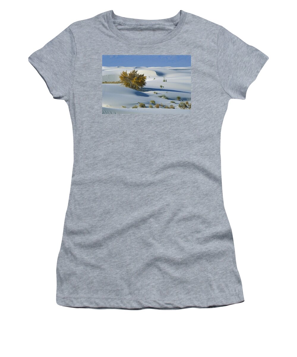 00198316 Women's T-Shirt featuring the photograph Fremont Cottonwood at White Sands by Konrad Wothe