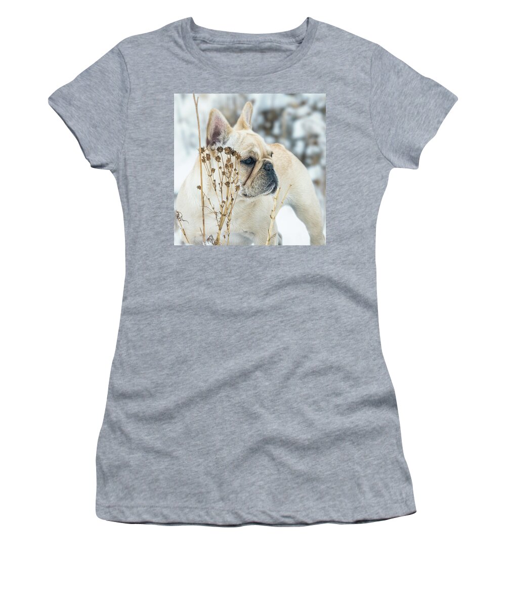 Snow Women's T-Shirt featuring the photograph French Bulldog in the Snow by Jennifer Grossnickle