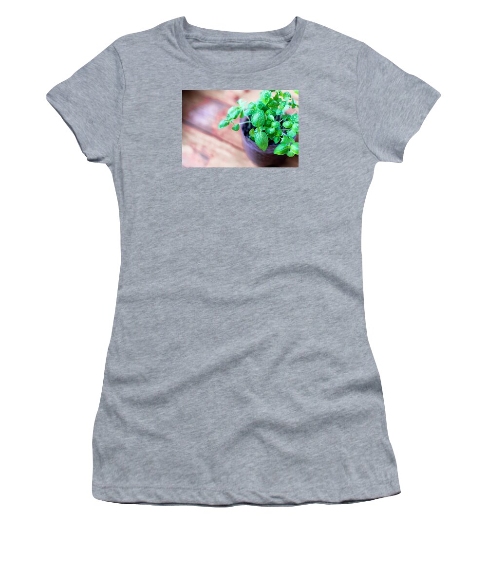 Backdrop Women's T-Shirt featuring the photograph Fresh Basil Plant on Rustic Wood by John Williams