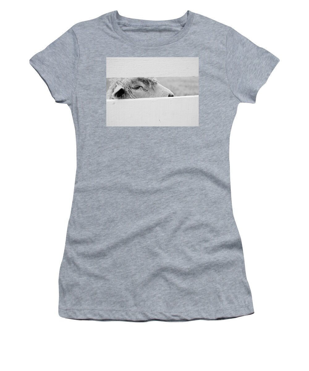 Sheep Women's T-Shirt featuring the photograph Friendly Sheep by Lara Morrison