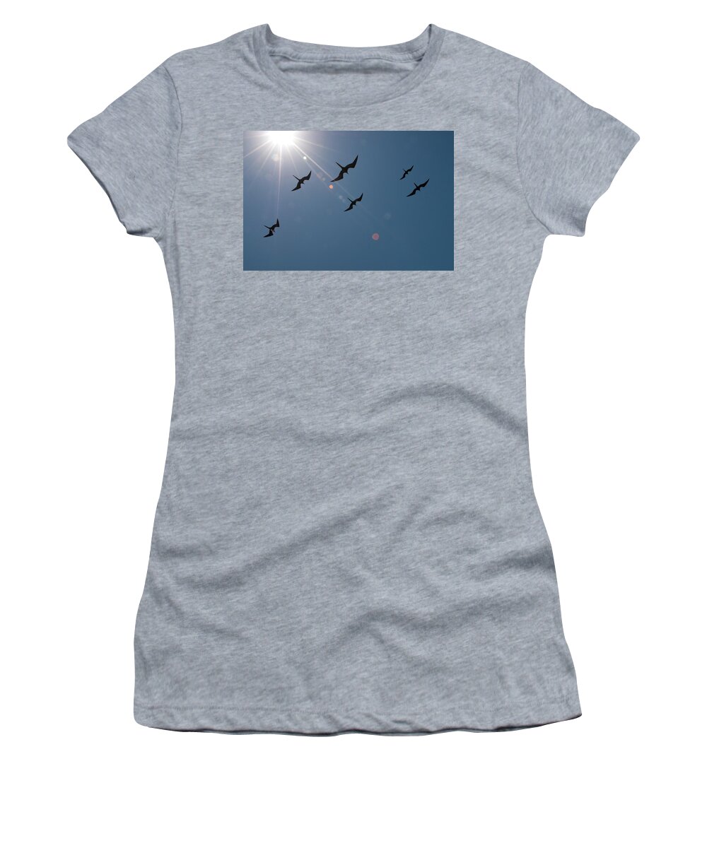 Bird Women's T-Shirt featuring the photograph Frigates Above by Julia McHugh