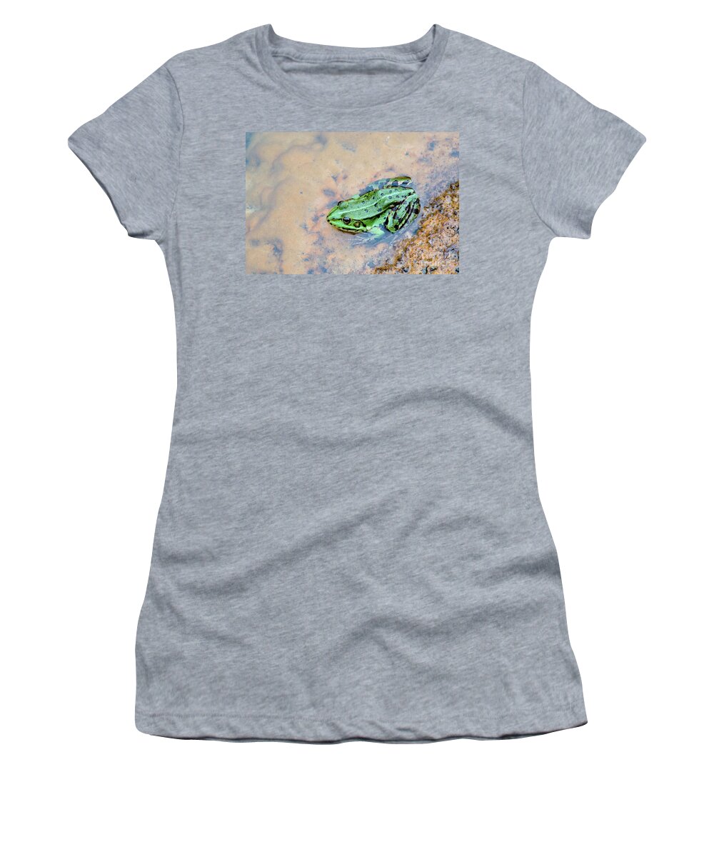 Active Women's T-Shirt featuring the photograph Frog in a pond by Amanda Mohler