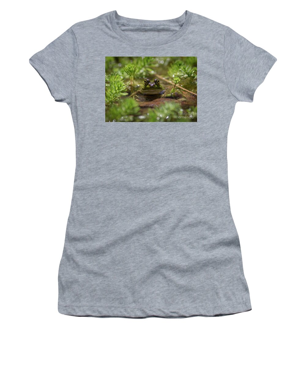 Frog Women's T-Shirt featuring the photograph Froggy by Douglas Stucky