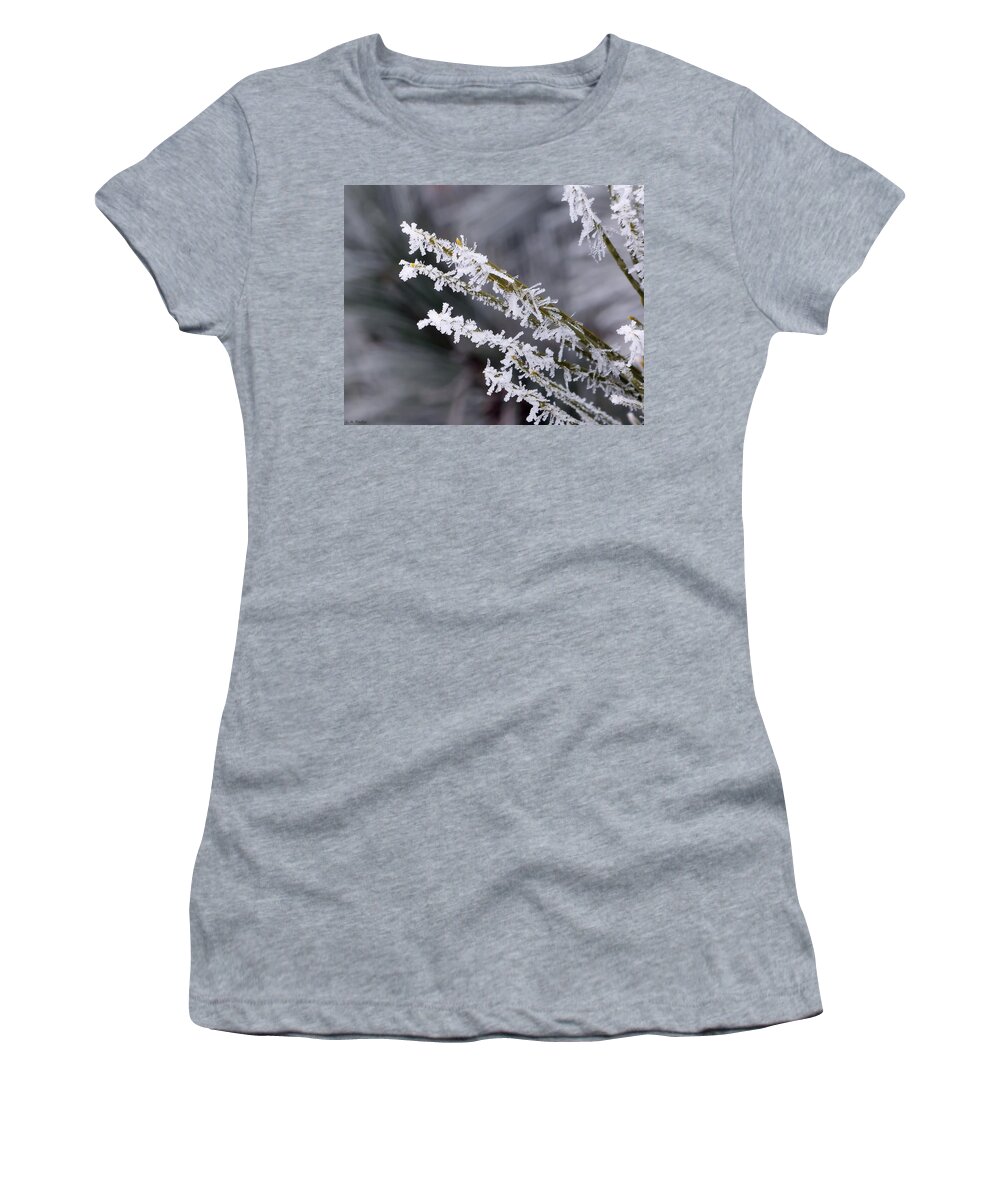 Macro Women's T-Shirt featuring the photograph Frost by Lauren Radke