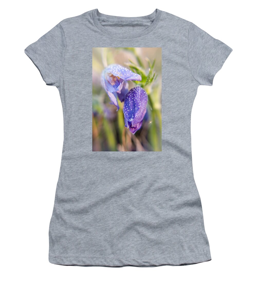 Victor Kovchin Women's T-Shirt featuring the photograph Frosted Pasque Flowers in Cold Morning by Victor Kovchin