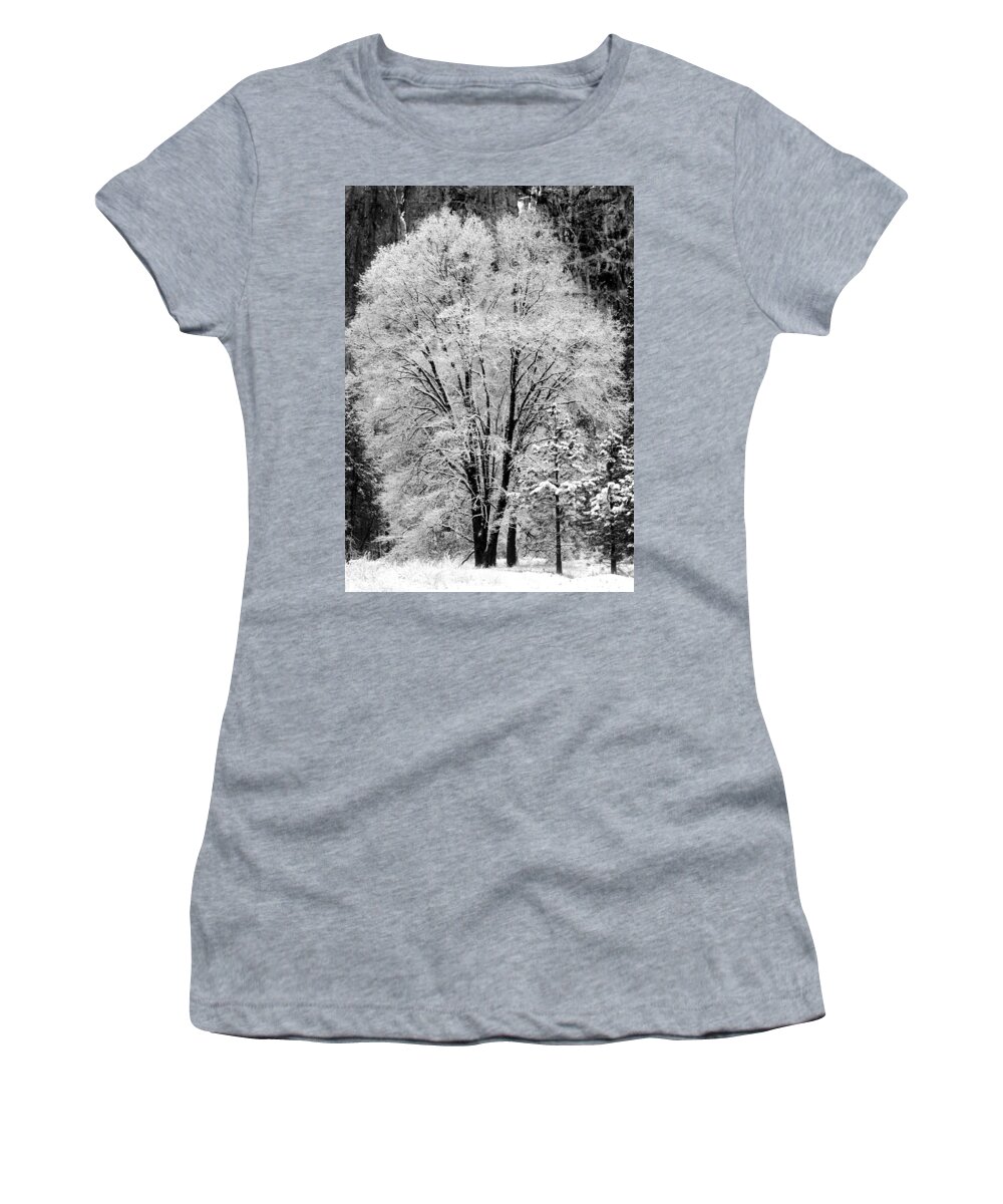 Tree Women's T-Shirt featuring the photograph Frosted Tree Yosemite Valley by Lawrence Knutsson