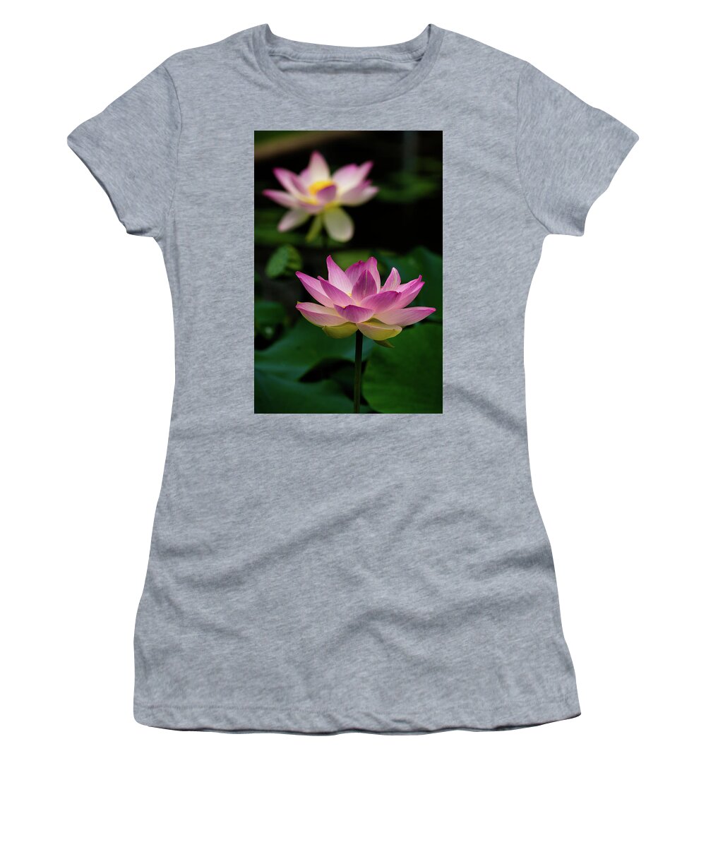 Bloom Women's T-Shirt featuring the photograph Full Blooming Dual Lotus Lilies by Dennis Dame
