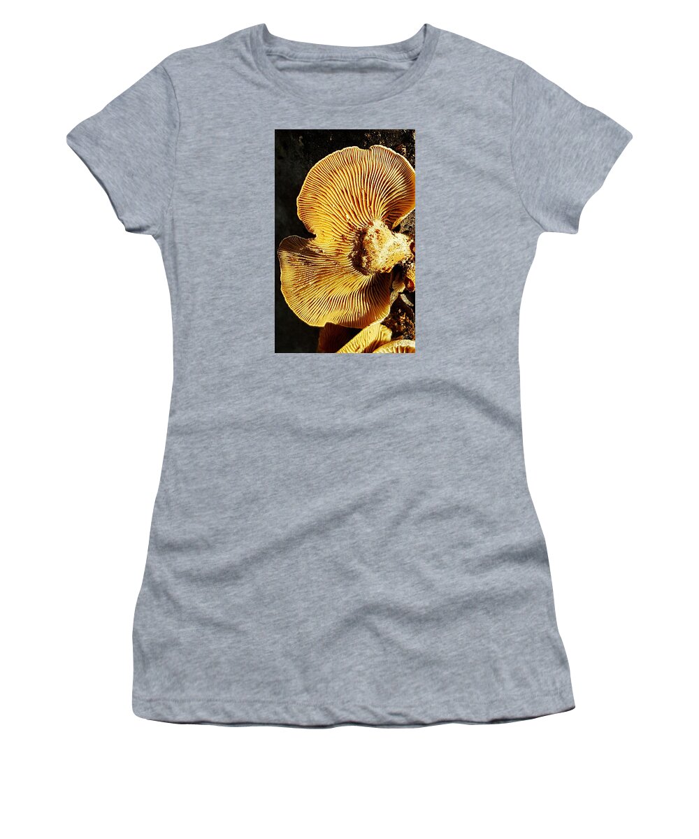 Plant Women's T-Shirt featuring the photograph Fungus by Bruce Carpenter