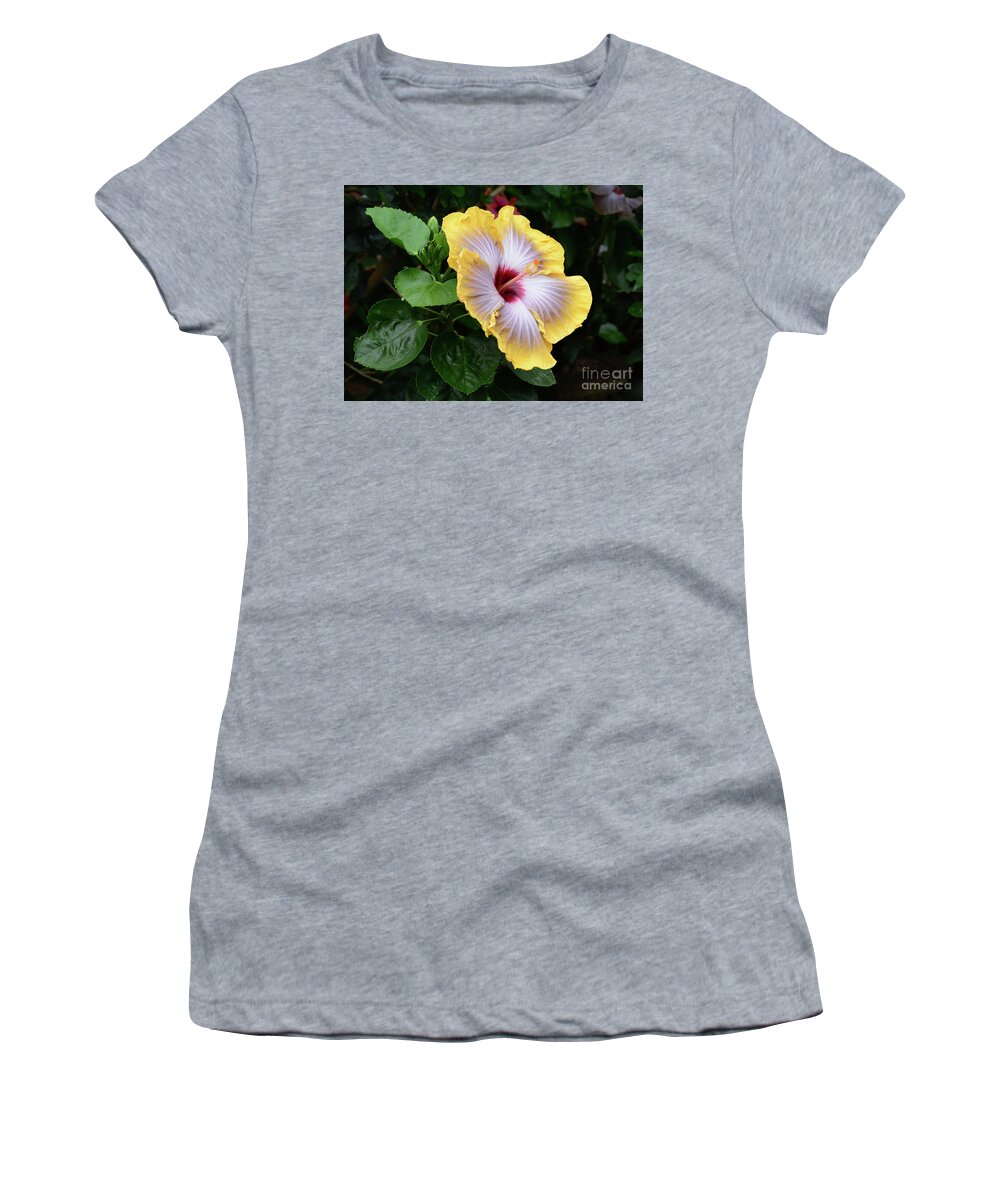Flowers Women's T-Shirt featuring the photograph Future is Bright by Cindy Manero