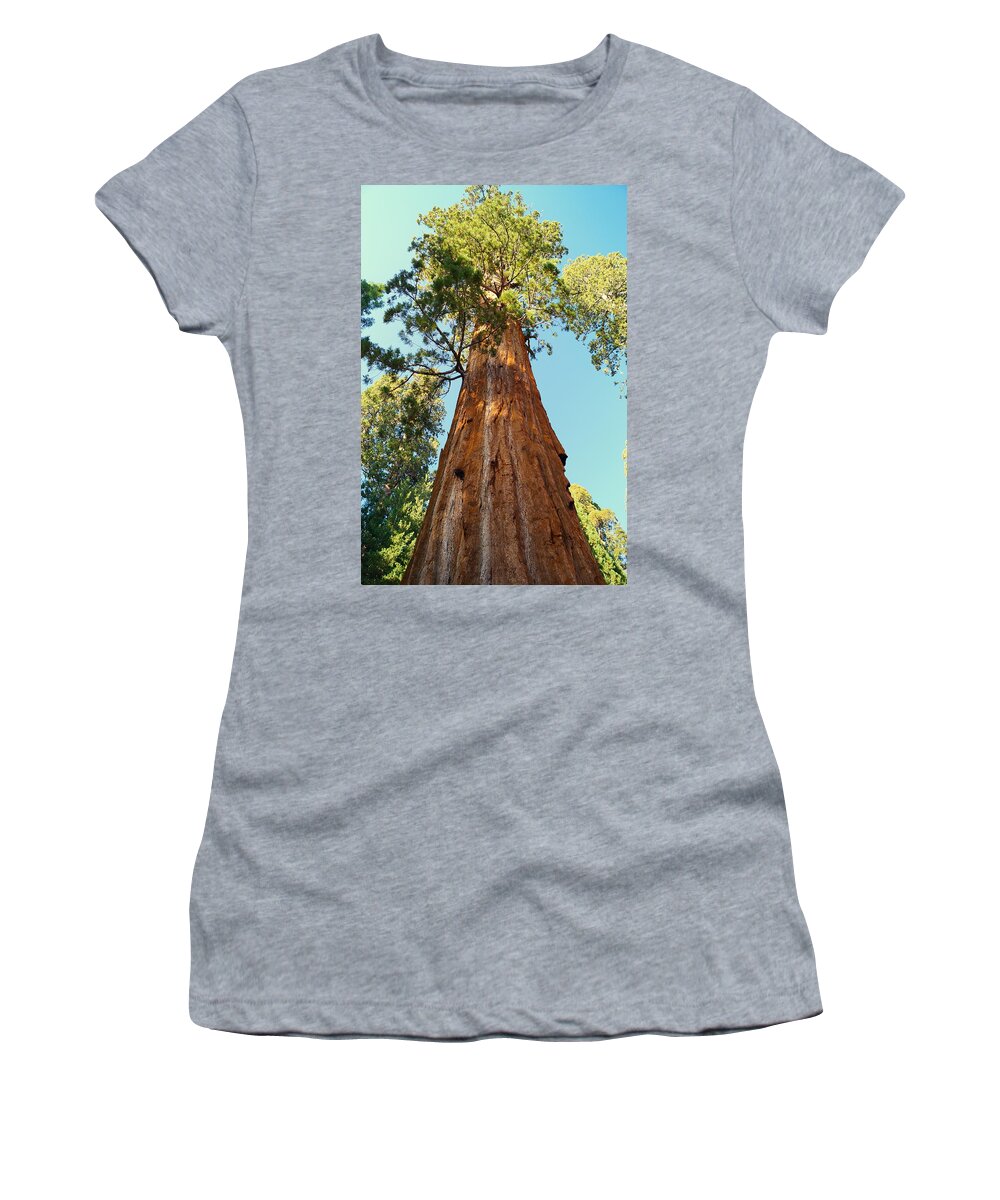 California Women's T-Shirt featuring the photograph General Sherman Tree by Beth Collins