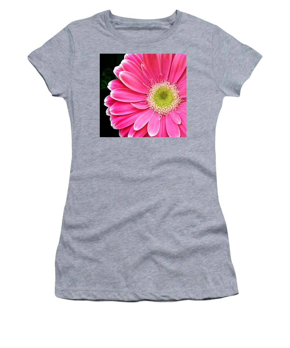 Scoobydrew81 Andrew Rhine Flower Flowers Bloom Blooms Macro Petal Petals Close-up Closeup Nature Botany Botanical Floral Flora Art Color Pink Yellow Soft Black Contrast Simple Clean Crisp Spring Round Gerbera Daisy Women's T-Shirt featuring the photograph Gerbera Daisy 4 by Andrew Rhine
