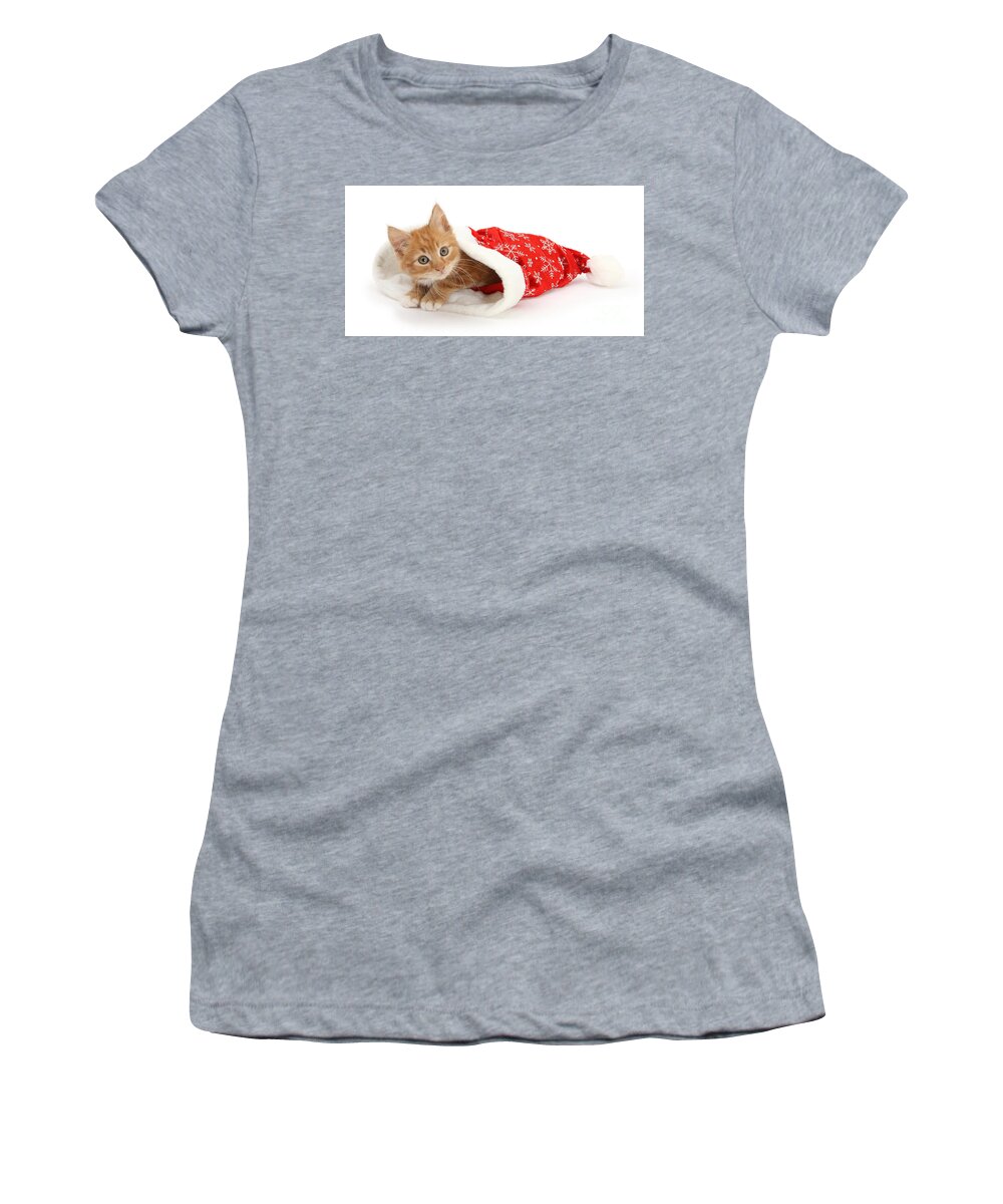 Father Christmas Women's T-Shirt featuring the photograph Ginger Kit in Santa Hat by Warren Photographic