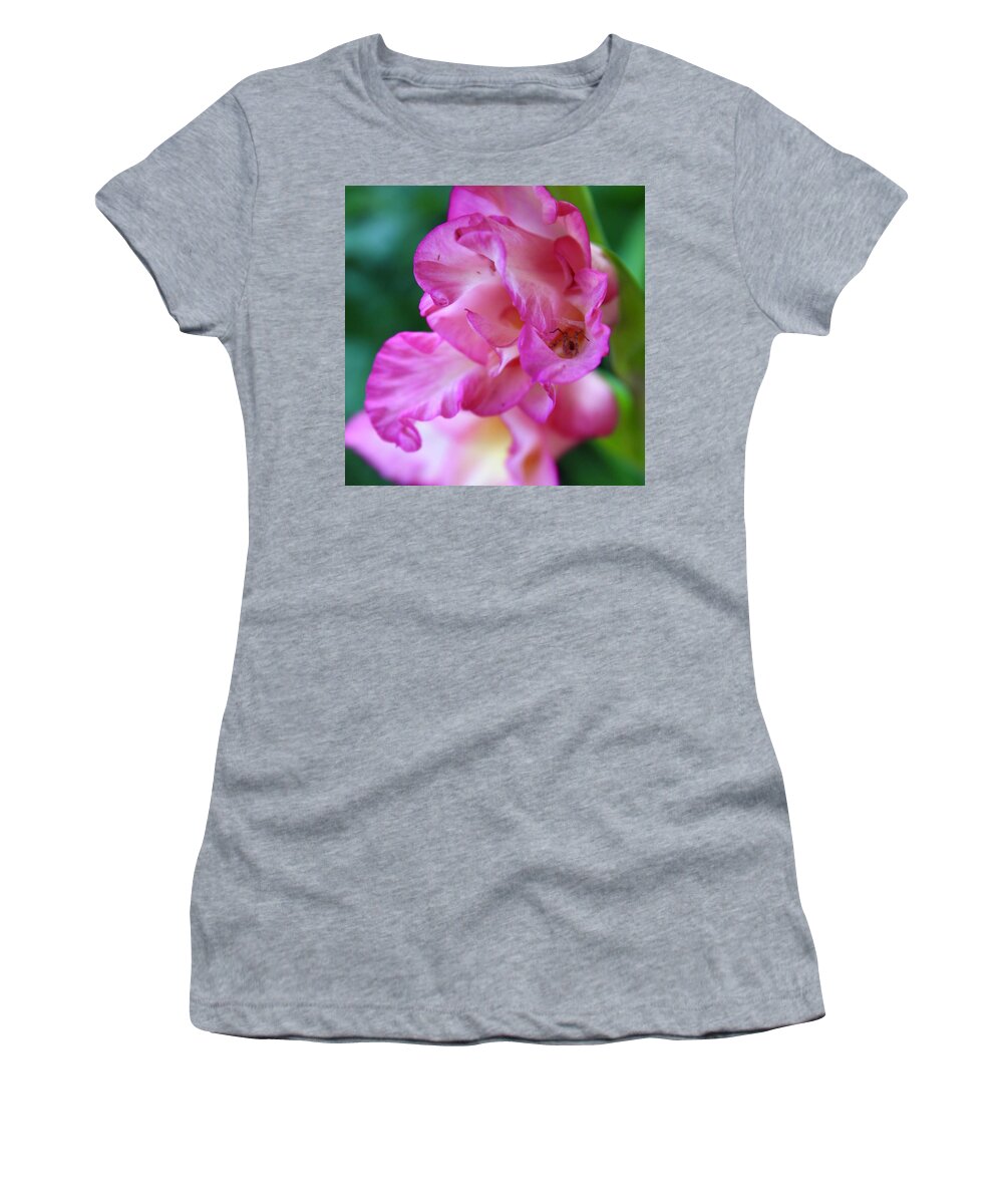 Photograph Women's T-Shirt featuring the photograph Gladys Web on a Gladiolas Flores by M E