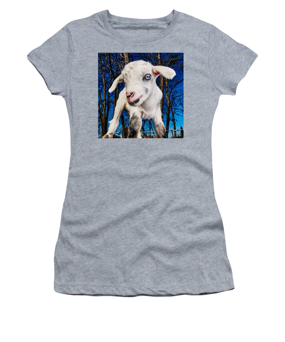 Goat Women's T-Shirt featuring the photograph Goat High Fashion Runway by TC Morgan