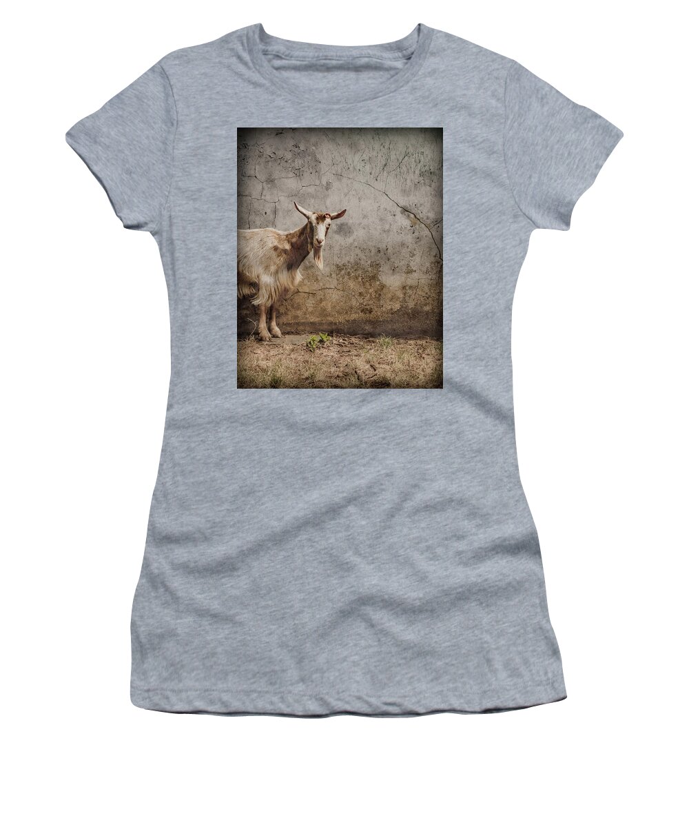 Coram's_fields Women's T-Shirt featuring the photograph London, England - Goat by Mark Forte