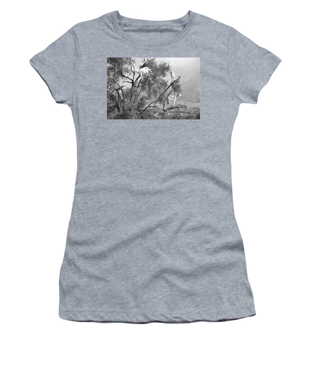 Morocco Women's T-Shirt featuring the photograph Goats in Tree BW by Chuck Kuhn
