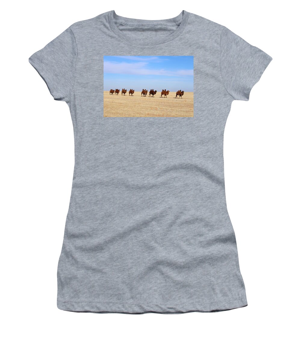Camels Women's T-Shirt featuring the photograph Gobi Camels by Diane Height