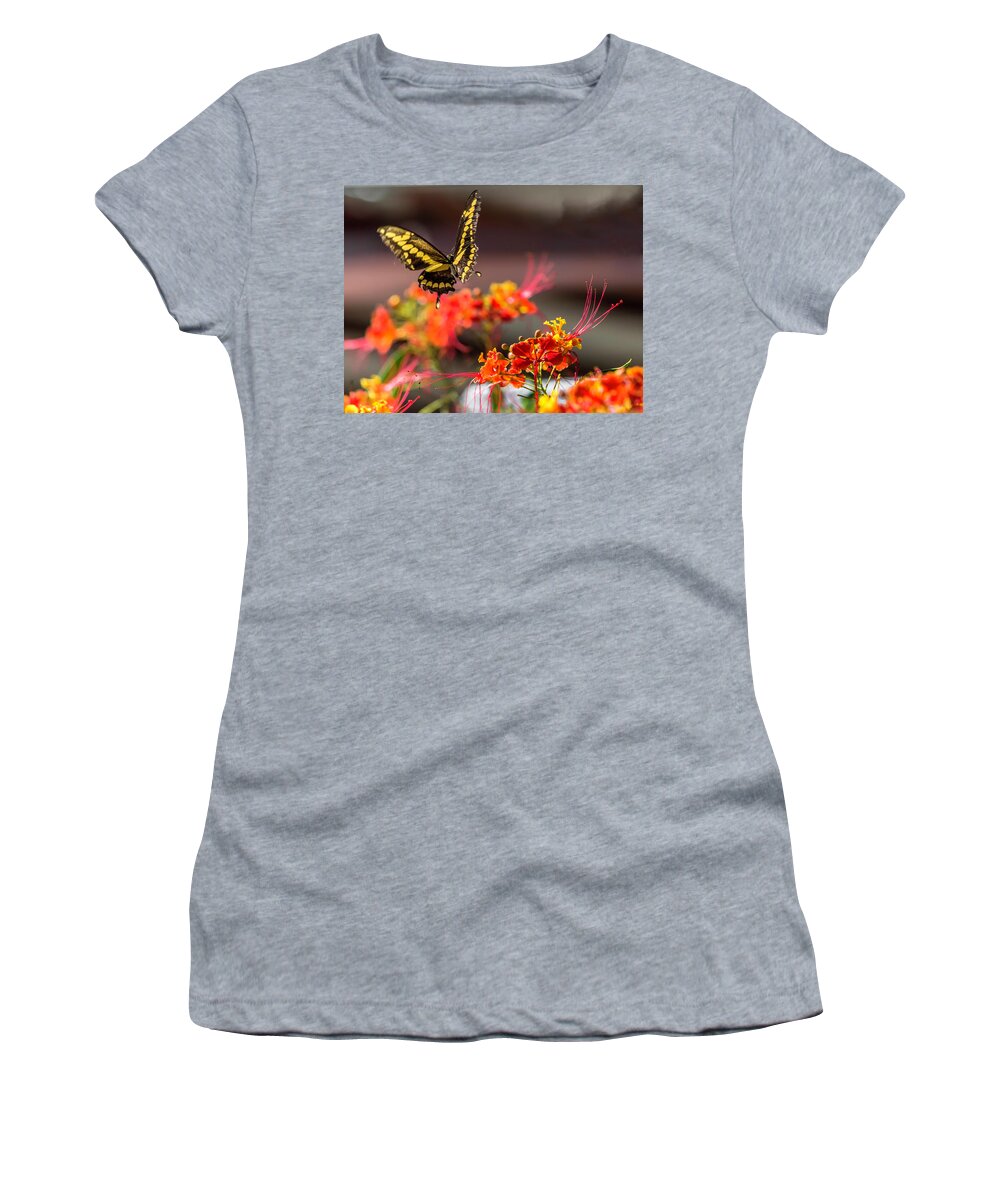 Butterfly Women's T-Shirt featuring the photograph Going for a Landing by Leticia Latocki