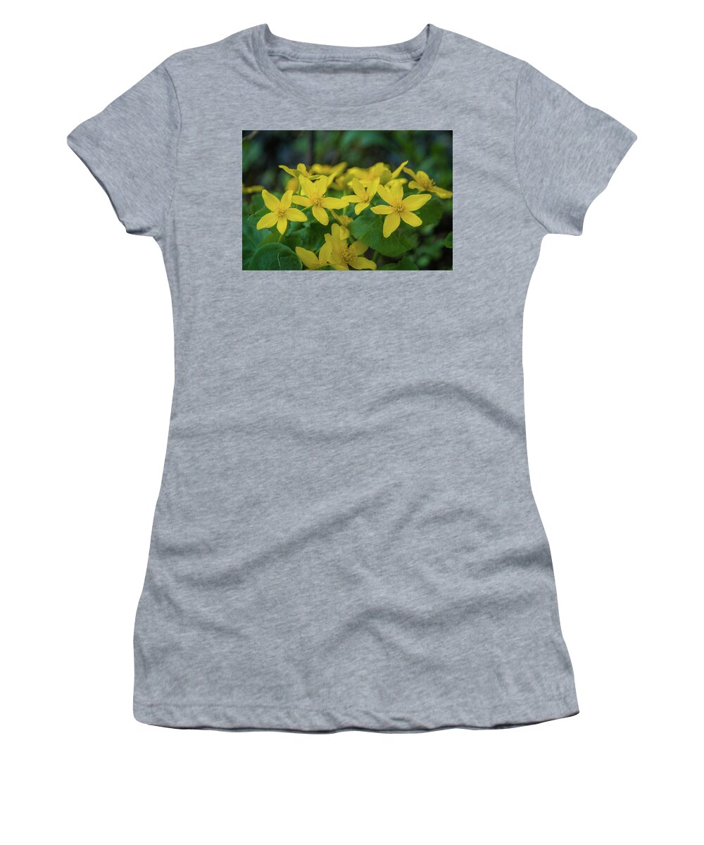Wildflower Women's T-Shirt featuring the photograph Gold In the Marsh by Bill Pevlor