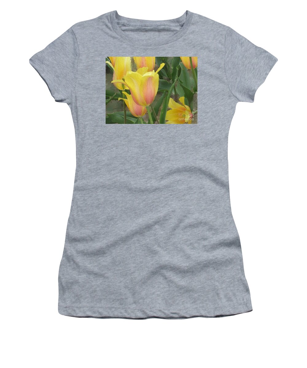 Photography Women's T-Shirt featuring the photograph Golden Blush by Kathie Chicoine