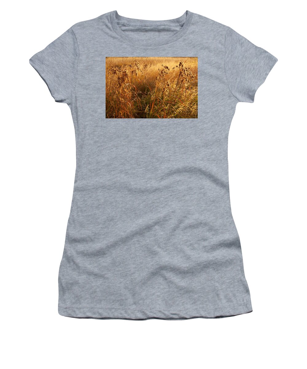 Kelly River Wilderness Women's T-Shirt featuring the photograph Golden Riverbank Grasses by Irwin Barrett