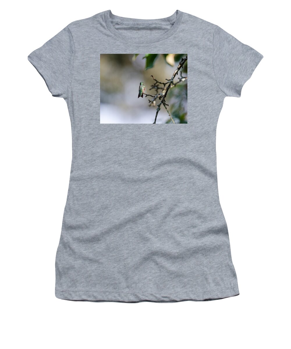 Hummingbird Women's T-Shirt featuring the photograph Out on a Limb by Kristin Hatt