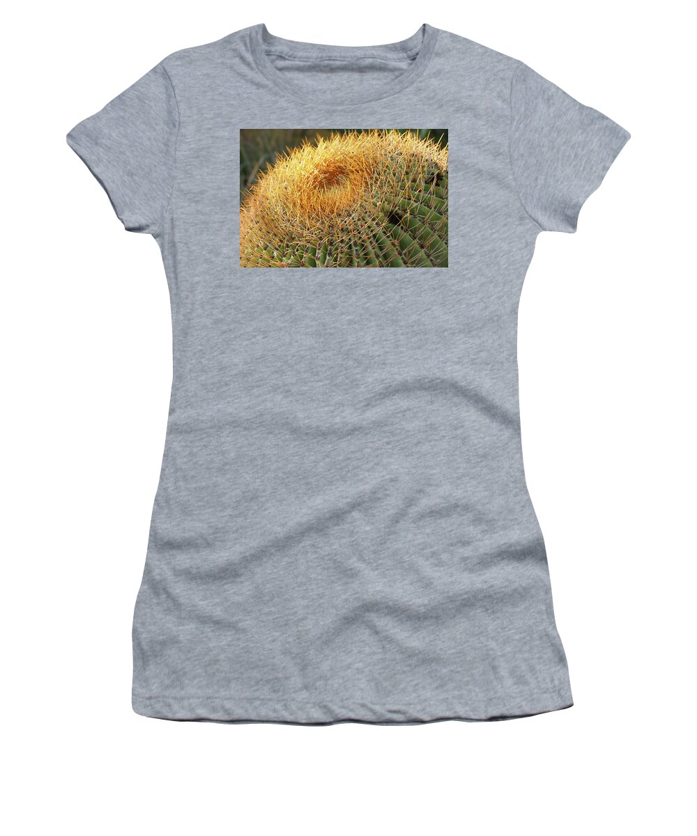 Cactus Women's T-Shirt featuring the photograph Golden Spines by Laurel Powell