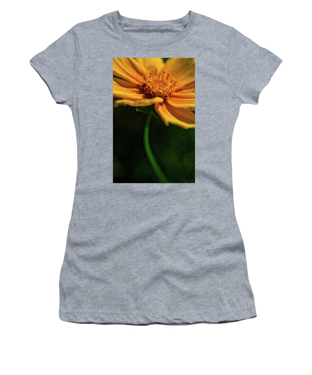 Ohio Women's T-Shirt featuring the photograph Golden by Stewart Helberg