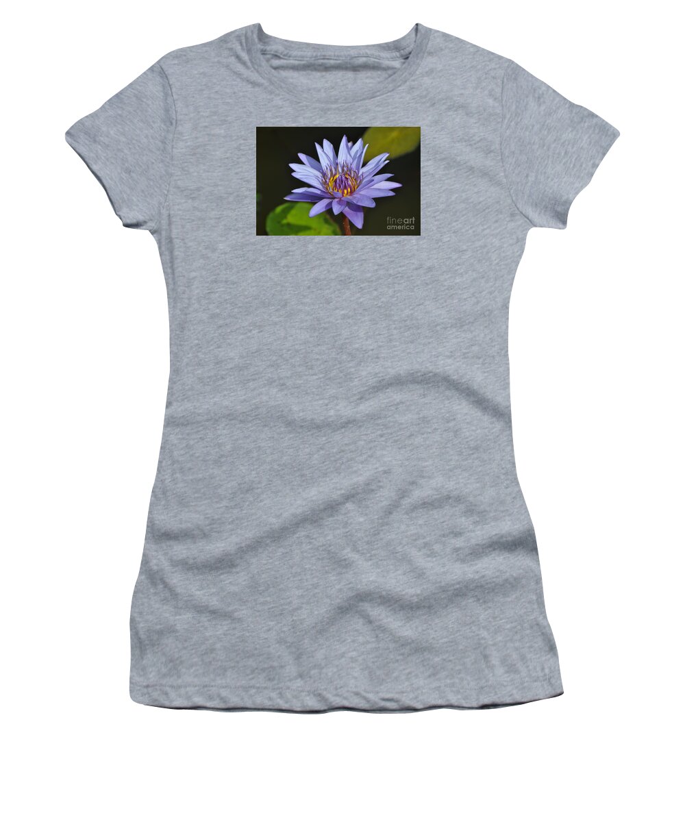 Water Lily Women's T-Shirt featuring the photograph Golden Touch by Nona Kumah