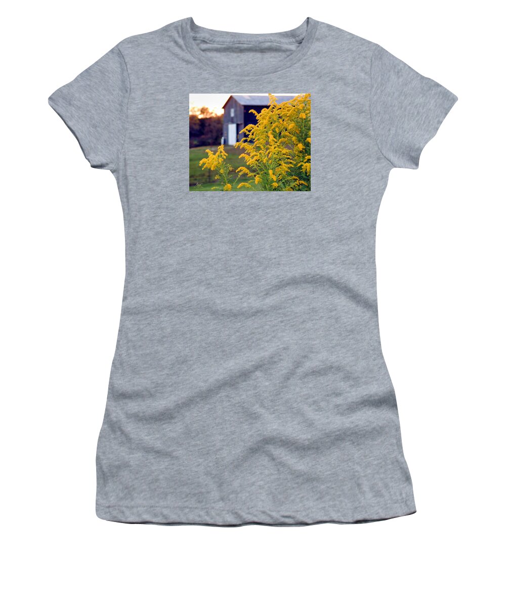 Landscape Women's T-Shirt featuring the photograph Goldenrod by Sam Davis Johnson