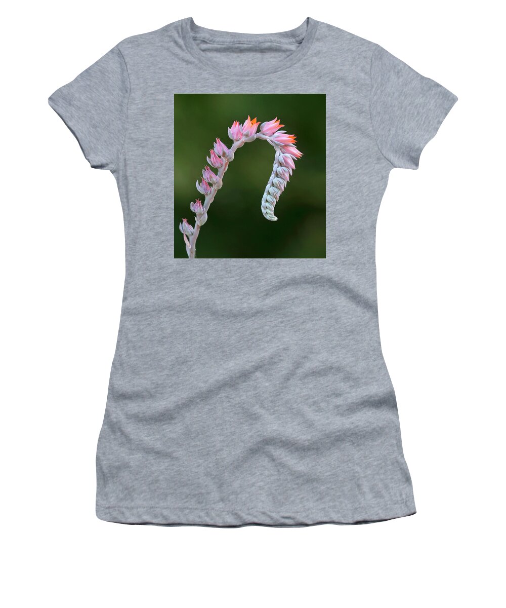 Flowers Women's T-Shirt featuring the photograph Graceful by Elvira Butler