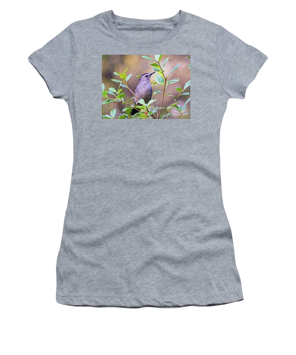 Nature Women's T-Shirt featuring the photograph Gray Catbird Posing by DB Hayes