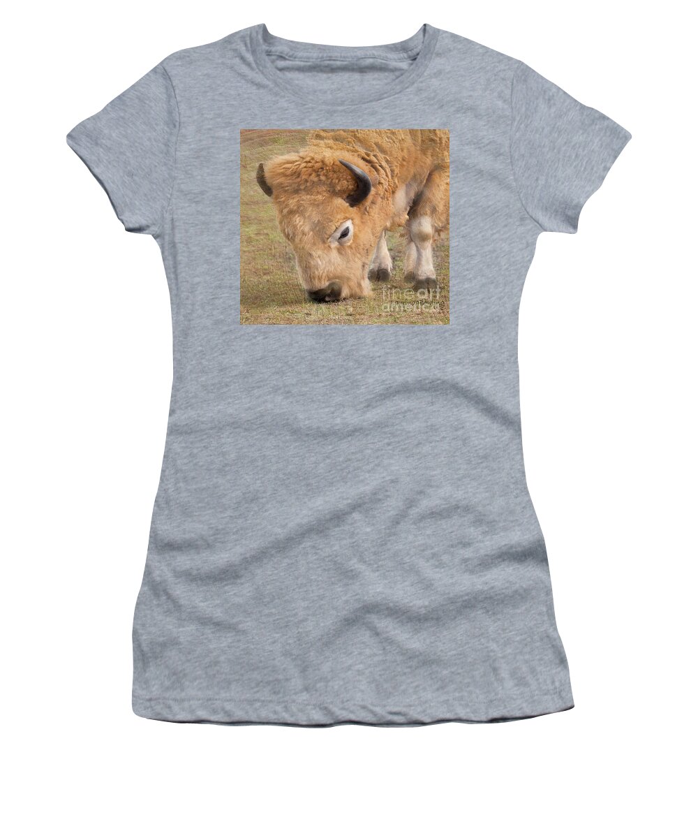 Digital Photography Women's T-Shirt featuring the photograph Grazing Buffalo by Laurinda Bowling