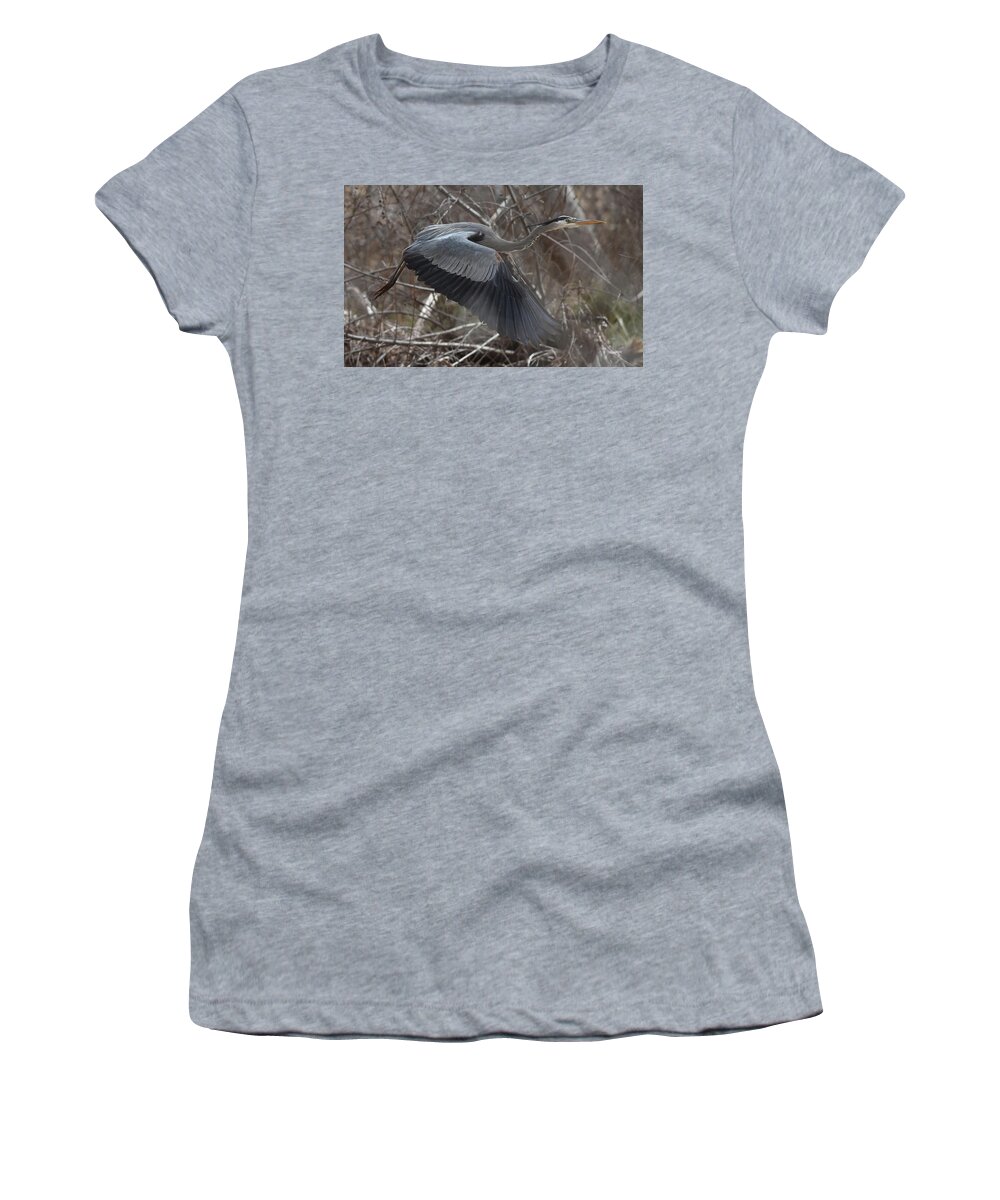 Heron Women's T-Shirt featuring the photograph Great Blue Getaway by Ben Foster
