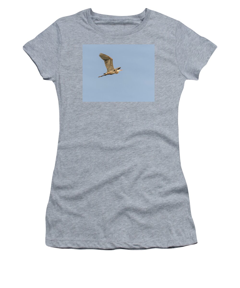 Great Blue Heron Women's T-Shirt featuring the photograph Great Blue Heron 2015-17 by Thomas Young