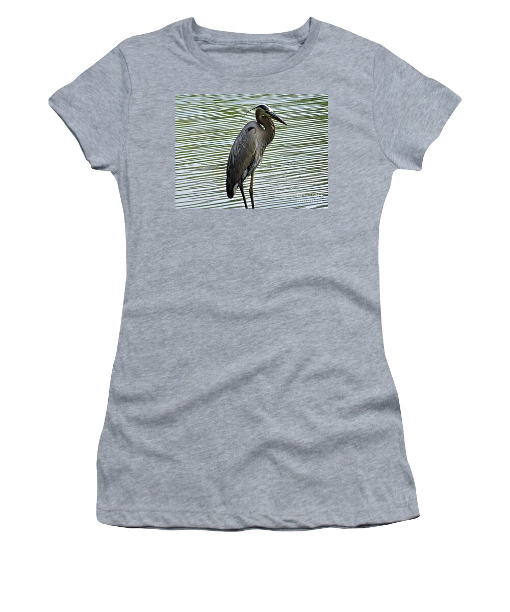 3 Star Women's T-Shirt featuring the photograph Great Blue Heron at Wash. Crossing Park-021 by Christopher Plummer