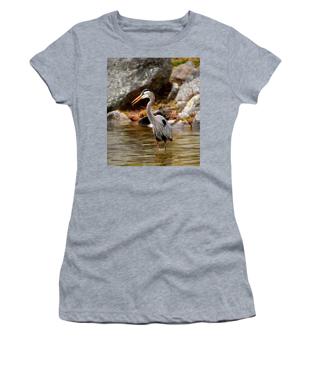 Wildlife Women's T-Shirt featuring the photograph Great Blue Heron by Monika Salvan
