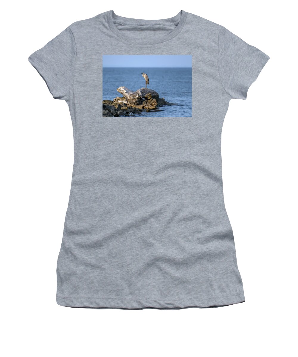 Great Blue Heron Women's T-Shirt featuring the photograph Great Blue Heron on Chesapeake Bay by Patrick Wolf