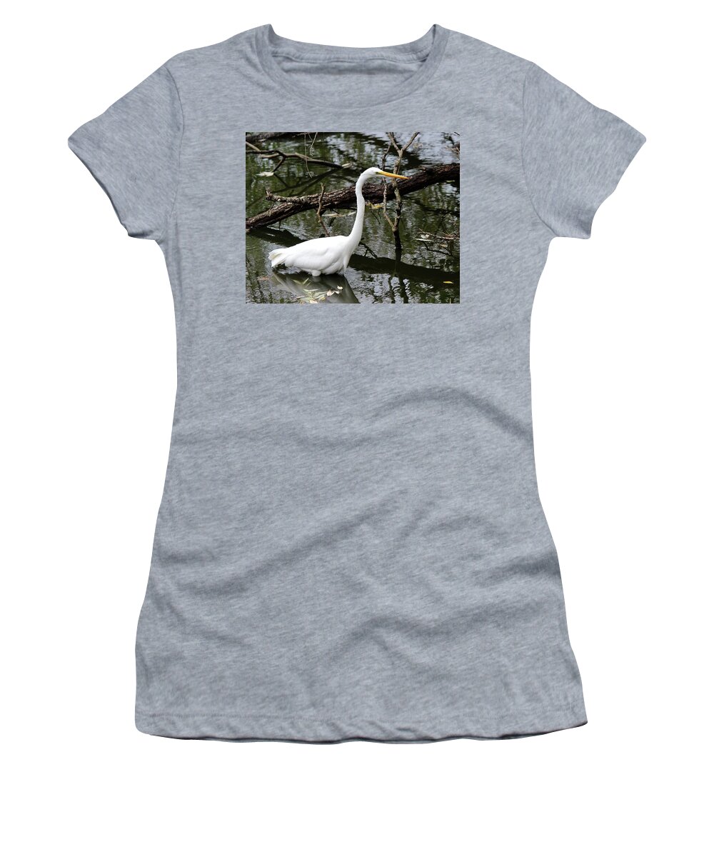 Ardea Alba Women's T-Shirt featuring the photograph Great Egret by David Pickett