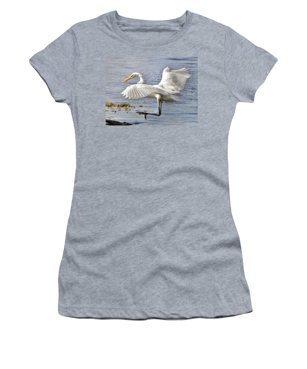Egret Women's T-Shirt featuring the photograph Great Egret by Savannah Gibbs